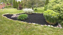 Photo of well mulched garden with a stone outline