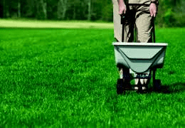 Photo of push fertilization machine