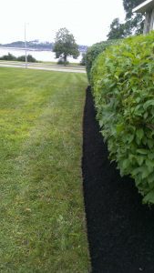 Photo of manicured lawn, mulching and hedges in Falmouth