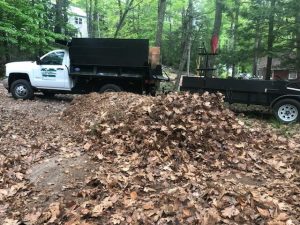 photo of leaves being cleaned up by AC Yard Services