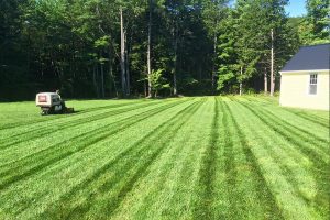 photo of perfect mow lines
