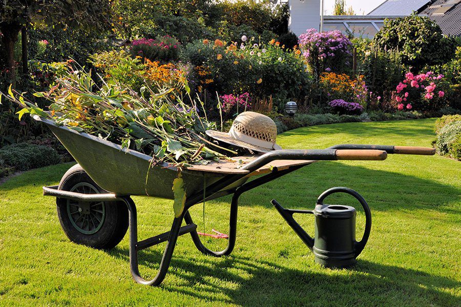 Lawn Care hat on top of sunflower filled wheelbarrow