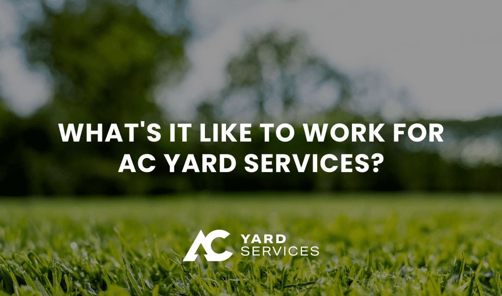 AC Yard Services April Blog The Annual Benefits of Joining the ACYS Team 