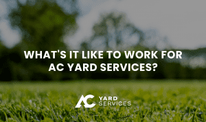 AC Yard Services April Blog The Annual Benefits of Joining the ACYS Team