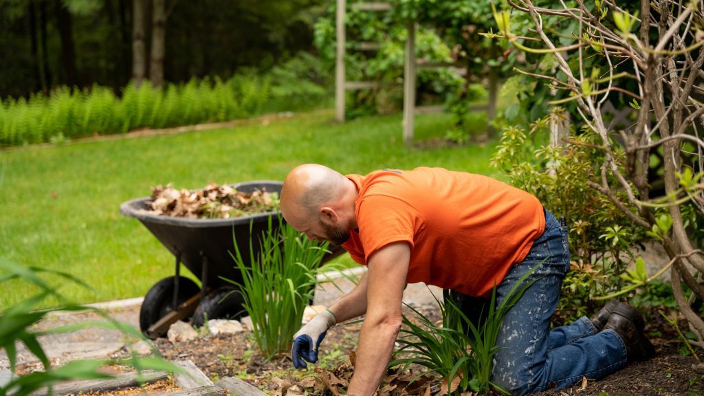 An AC Yard Services Employee Removing leaves from a garden