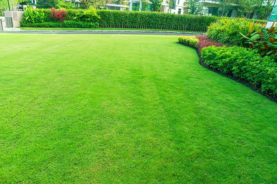 Lawn Edging – Its Importance & Advantages - AC Yard Services